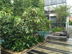 Sandalwood (D15), Terrace #121173912